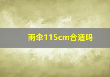 雨伞115cm合适吗