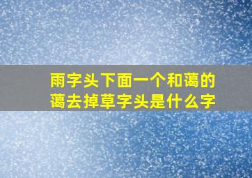 雨字头下面一个和蔼的蔼去掉草字头是什么字