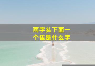 雨字头下面一个隹是什么字