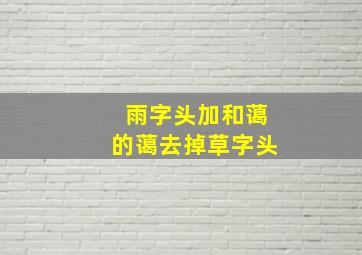 雨字头加和蔼的蔼去掉草字头