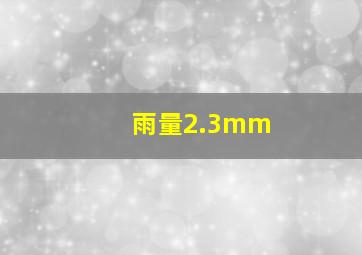 雨量2.3mm