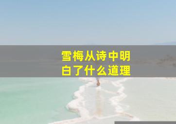 雪梅从诗中明白了什么道理