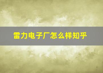 雷力电子厂怎么样知乎