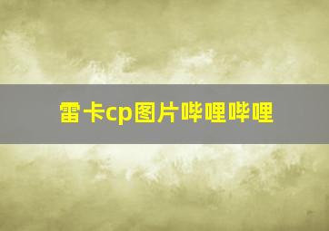 雷卡cp图片哔哩哔哩