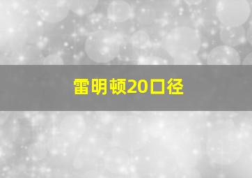 雷明顿20口径