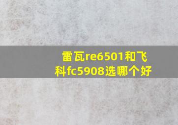 雷瓦re6501和飞科fc5908选哪个好