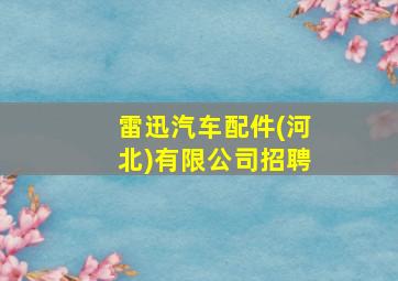 雷迅汽车配件(河北)有限公司招聘