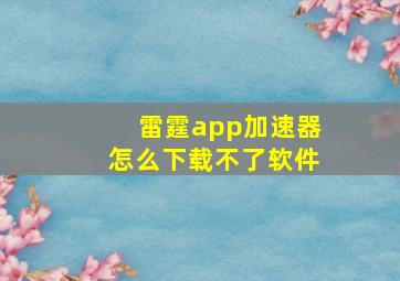 雷霆app加速器怎么下载不了软件