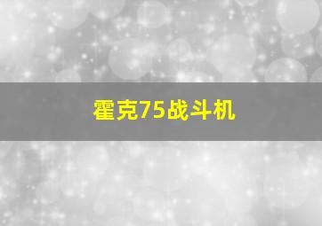 霍克75战斗机