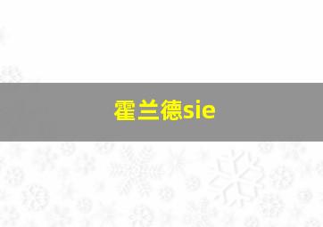 霍兰德sie