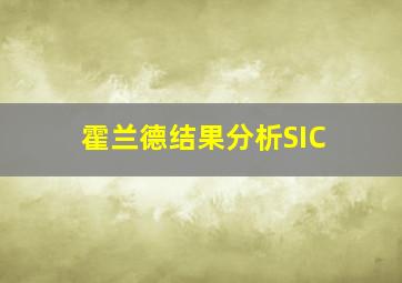 霍兰德结果分析SIC