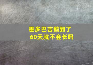 霍多巴吉鹅到了60天就不会长吗