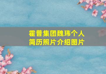 霍普集团魏玮个人简历照片介绍图片