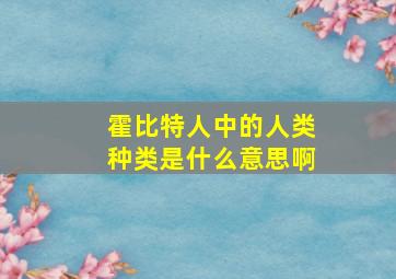 霍比特人中的人类种类是什么意思啊