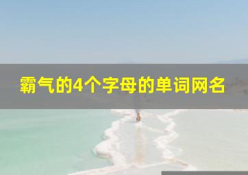 霸气的4个字母的单词网名