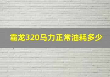 霸龙320马力正常油耗多少