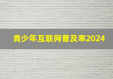 青少年互联网普及率2024