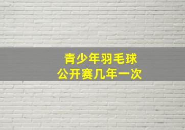 青少年羽毛球公开赛几年一次