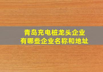 青岛充电桩龙头企业有哪些企业名称和地址