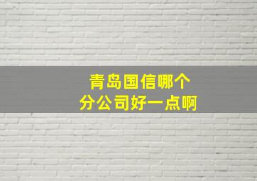 青岛国信哪个分公司好一点啊