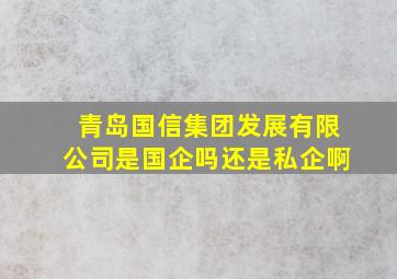 青岛国信集团发展有限公司是国企吗还是私企啊