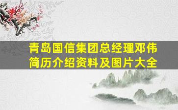 青岛国信集团总经理邓伟简历介绍资料及图片大全