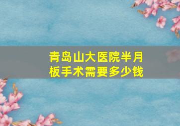 青岛山大医院半月板手术需要多少钱