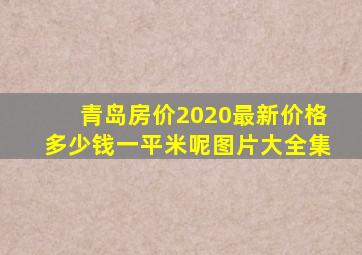 青岛房价2020最新价格多少钱一平米呢图片大全集