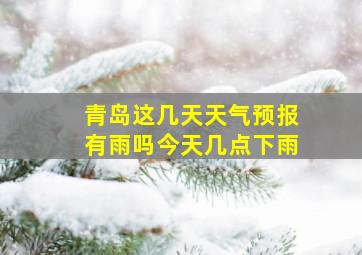 青岛这几天天气预报有雨吗今天几点下雨