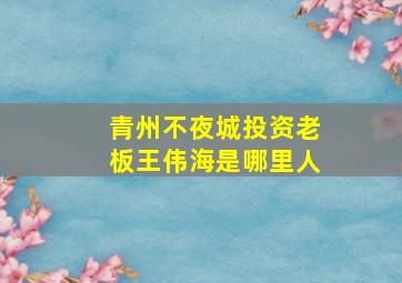 青州不夜城投资老板王伟海是哪里人