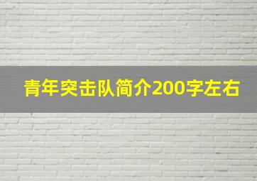 青年突击队简介200字左右