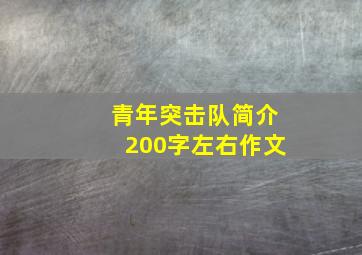 青年突击队简介200字左右作文