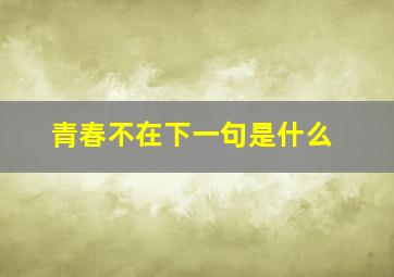 青春不在下一句是什么