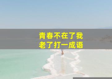 青春不在了我老了打一成语