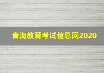 青海教育考试信息网2020