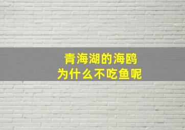 青海湖的海鸥为什么不吃鱼呢