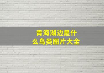 青海湖边是什么鸟类图片大全