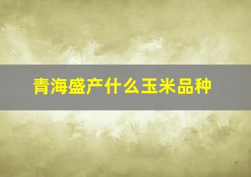 青海盛产什么玉米品种