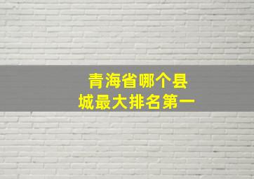 青海省哪个县城最大排名第一