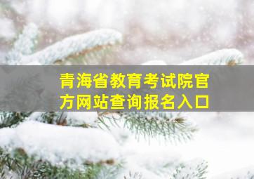 青海省教育考试院官方网站查询报名入口