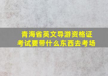 青海省英文导游资格证考试要带什么东西去考场