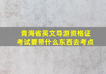 青海省英文导游资格证考试要带什么东西去考点