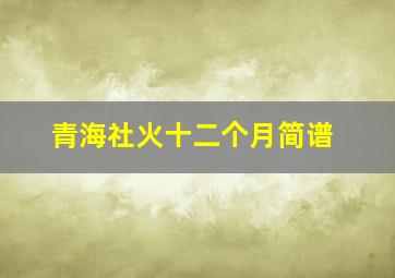 青海社火十二个月简谱