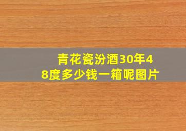 青花瓷汾酒30年48度多少钱一箱呢图片