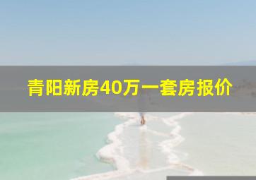 青阳新房40万一套房报价