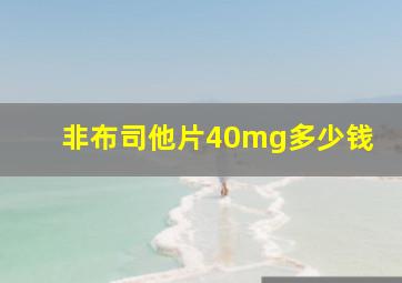 非布司他片40mg多少钱