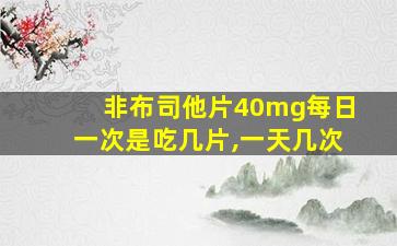 非布司他片40mg每日一次是吃几片,一天几次