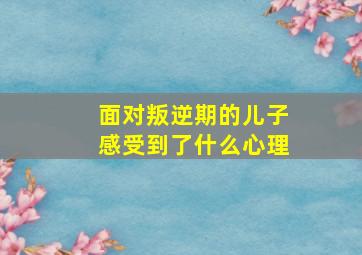 面对叛逆期的儿子感受到了什么心理