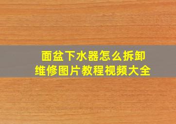 面盆下水器怎么拆卸维修图片教程视频大全