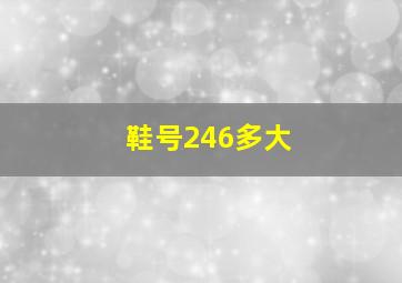 鞋号246多大